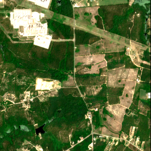 Satellite view of the Amazon Hamlet site before construction, May 2024